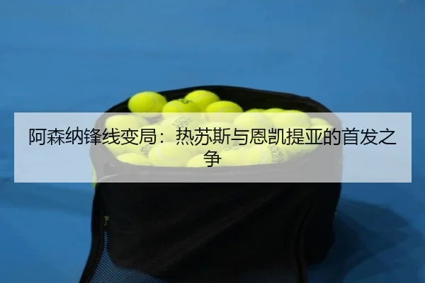 a-sen-na-feng-xian-bian-ju-re-su-si-yu-en-kai-ti-ya-de-shou-fa-zhi-zheng-2-273.jpg
