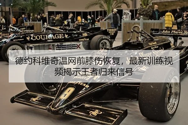 de-yue-ke-wei-qi-wen-wang-qian-xi-shang-hui-fu-zui-xin-xun-lian-shi-pin-jie-shi-wang-zhe-gui-lai-xin-hao-2-855.jpg
