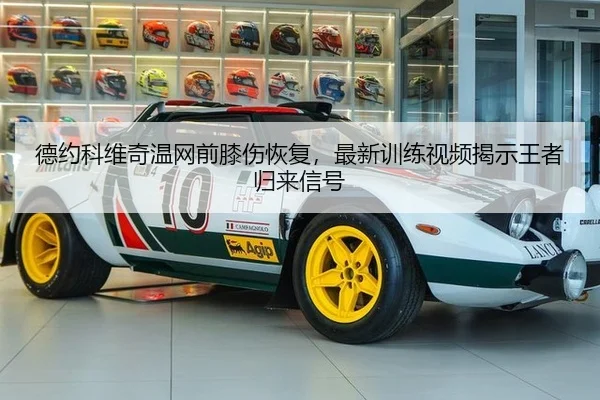 德约科维奇温网前膝伤恢复，最新训练视频揭示王者归来信号
